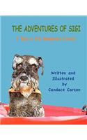 The Adventures of Sigi-A Day in the Mangrove Forest