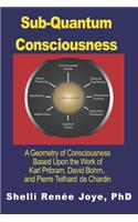 Sub-Quantum Consciousness