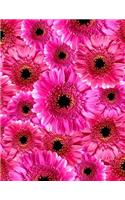 Gerber Daisy Journal