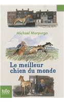 Meilleur Chien Du Monde