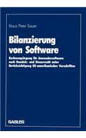 Bilanzierung Von Software