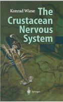 Crustacean Nervous System