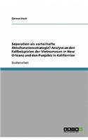 Separation als vorteilhafte Akkulturationsstrategie? Analyse an den Fallbeispielen der Vietnamesen in New Orleans und den Punjabis in Kalifornien