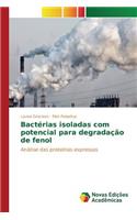 Bactérias isoladas com potencial para degradação de fenol