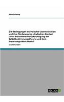 Bedingungen intrinsischer Lesemotivation und ihre Förderung im schulischen Kontext unter besonderer Berücksichtigung der Selbstbestimmungstheorie und dem Erwartungs-Wert-Modell