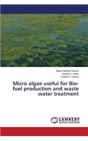 Micro algae useful for Bio-fuel production and waste water treatment