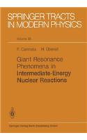 Giant Resonance Phenomena in Intermediate Energy Nuclear Reactions: (89 Springer Tracts in Modern Physics)