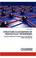 Structure Elucidation of Pentacyclic Triterpenes