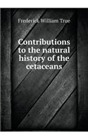 Contributions to the Natural History of the Cetaceans