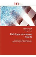 Rhéologie de Mousse Liquide