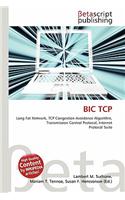 Bic TCP: (English)