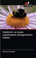 Calabroni: un nuovo impollinatore nell'agricoltura indiana