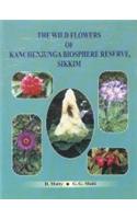 Wild Flowers of Kanchenjunga Biosphere Reserve Sikkim