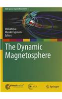 Dynamic Magnetosphere