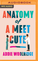 Anatomy of a Meet Cute