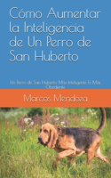 Cómo Aumentar la Inteligencia de Un Perro de San Huberto