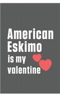 American Eskimo is my valentine: For American Eskimo Dog Fans