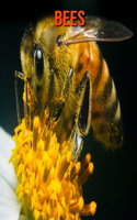 Bees: Beautiful Pictures & Interesting Facts Children Book About Bees