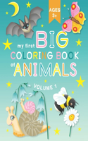 My First Big Coloring Book