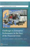 Challenges to Enterprise Performance in the Face of the Financial Crisis: Eastern Europe and Central Asia