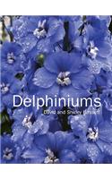 Delphiniums