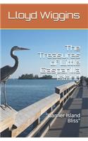 The Treasures of Little Gasparilla Island Revisited