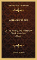 Comical Fellows: Or The History And Mystery Of The Pantomime (1863)