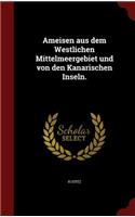 Ameisen Aus Dem Westlichen Mittelmeergebiet Und Von Den Kanarischen Inseln.