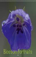 Blossom Portraits 2016