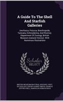 A Guide to the Shell and Starfish Galleries