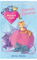 Pocket Cats: Friends Forever