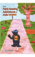 Fairly Amazing Adventures of Mole