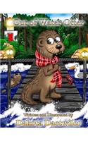 Out of Water Otter