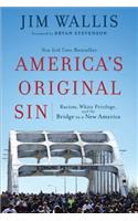 America`s Original Sin – Racism, White Privilege, and the Bridge to a New America