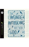 Wonder-Working God
