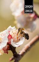 Bee Insects Beekeeping Beekeeper Week Planner Weekly Organizer Calendar 2020 / 2021 - Explore Cherry Blossom