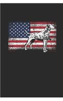 USA Dalmatian