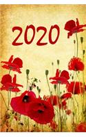 2020: 6"x9" Daily and Weekly Agenda Planner and Organizer V13