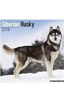 Siberian Husky Calendar 2018