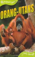 Orang-utans: 0 (QED Animal Lives S.)