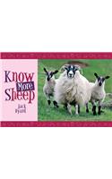 Know More Sheep