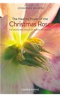 The Healing Power of the Christmas Rose
