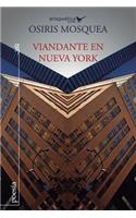 Viandante en Nueva York