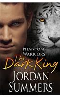 Phantom Warriors