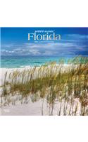 Florida Wild & Scenic 2020 Square Foil