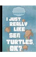 I Just Really Like Sea Turtles OK? Cartoon Composition Notebook - College Ruled