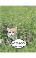 Notebook Journal : Cat: Pocket Notebook Journal Diary, 120 pages, 8.5 x 11 (Dot-Grid,Graph,Lined,Blank Notebook Journal)