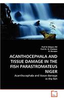 Acanthocephala and Tissue Damage in the Fish Parastromateus Niger