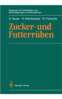 Zucker- und Futterrüben