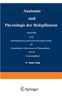 Anatomie Und Physiologie Der Holzpflanzen